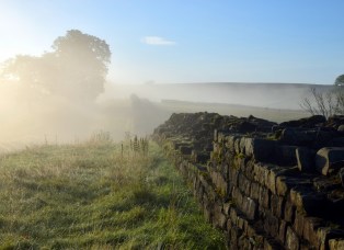 Hadrian's Wall at Willowford